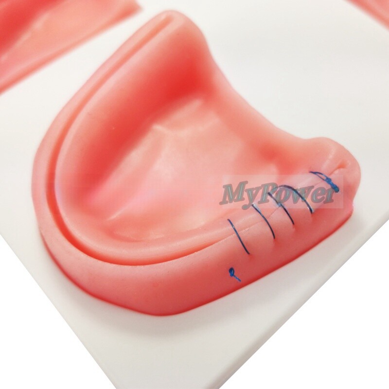 Dental Simulation Suture Model Gum Teaching Training Surgical Suture Reverse Cut