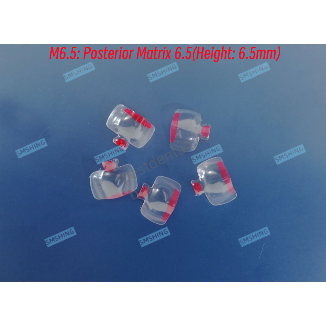 Clear Matrix Dental Posterior Transparent BT Matrices Fit BioClear USA STOCK