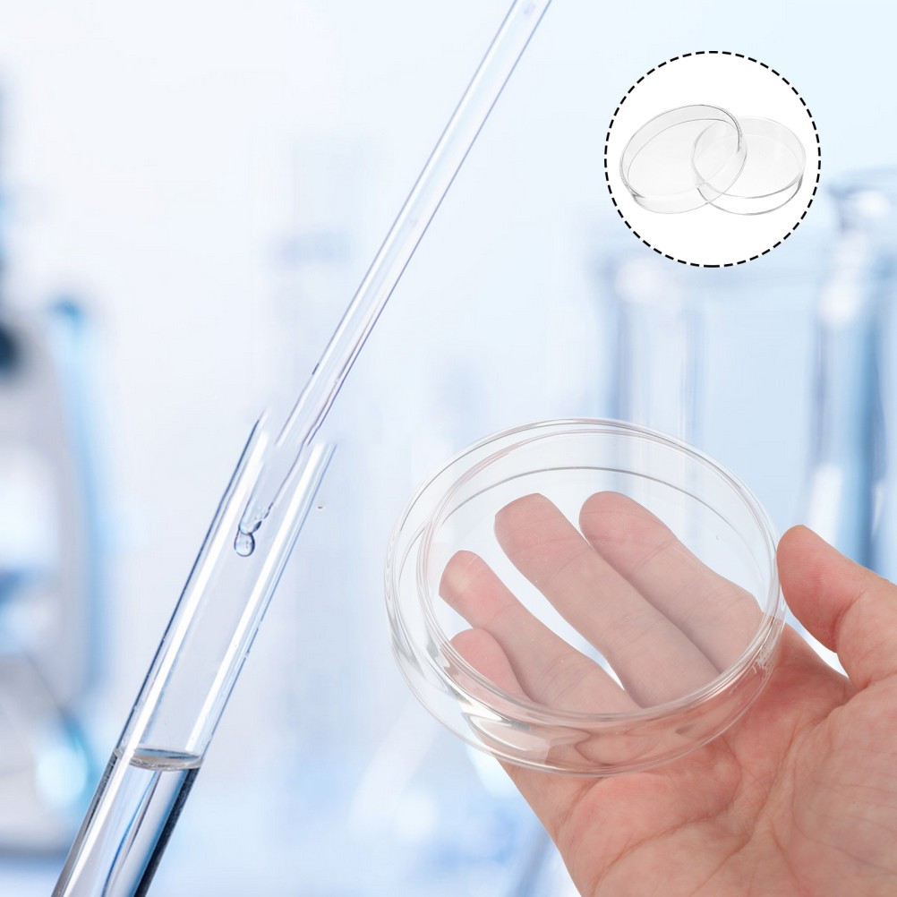 1 Set Reusable Glass Petri Dishes for Laboratory Culture with Clear Visibility