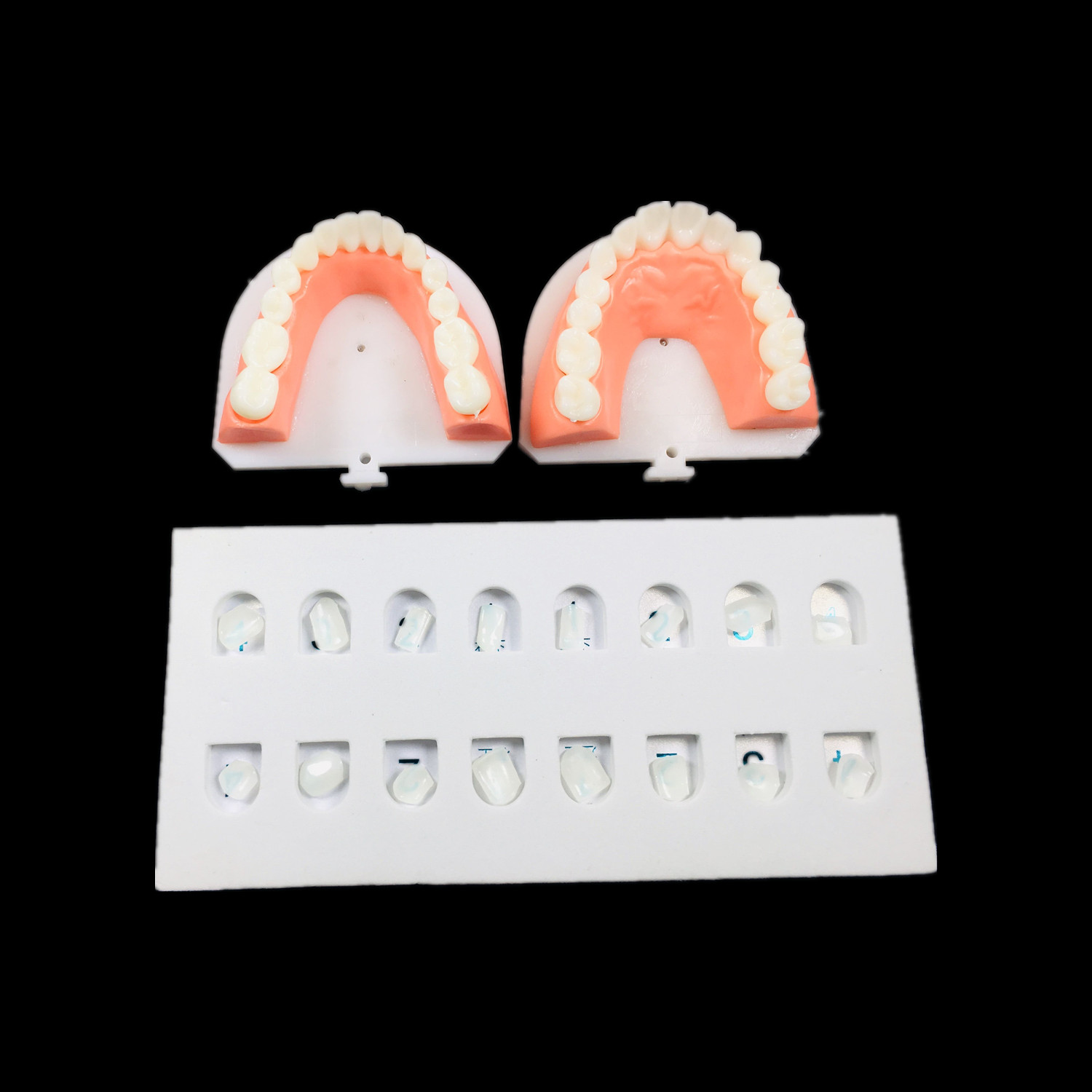 1~20Sets Dental Composite Veneer Template Model Practise Dentist Teaching