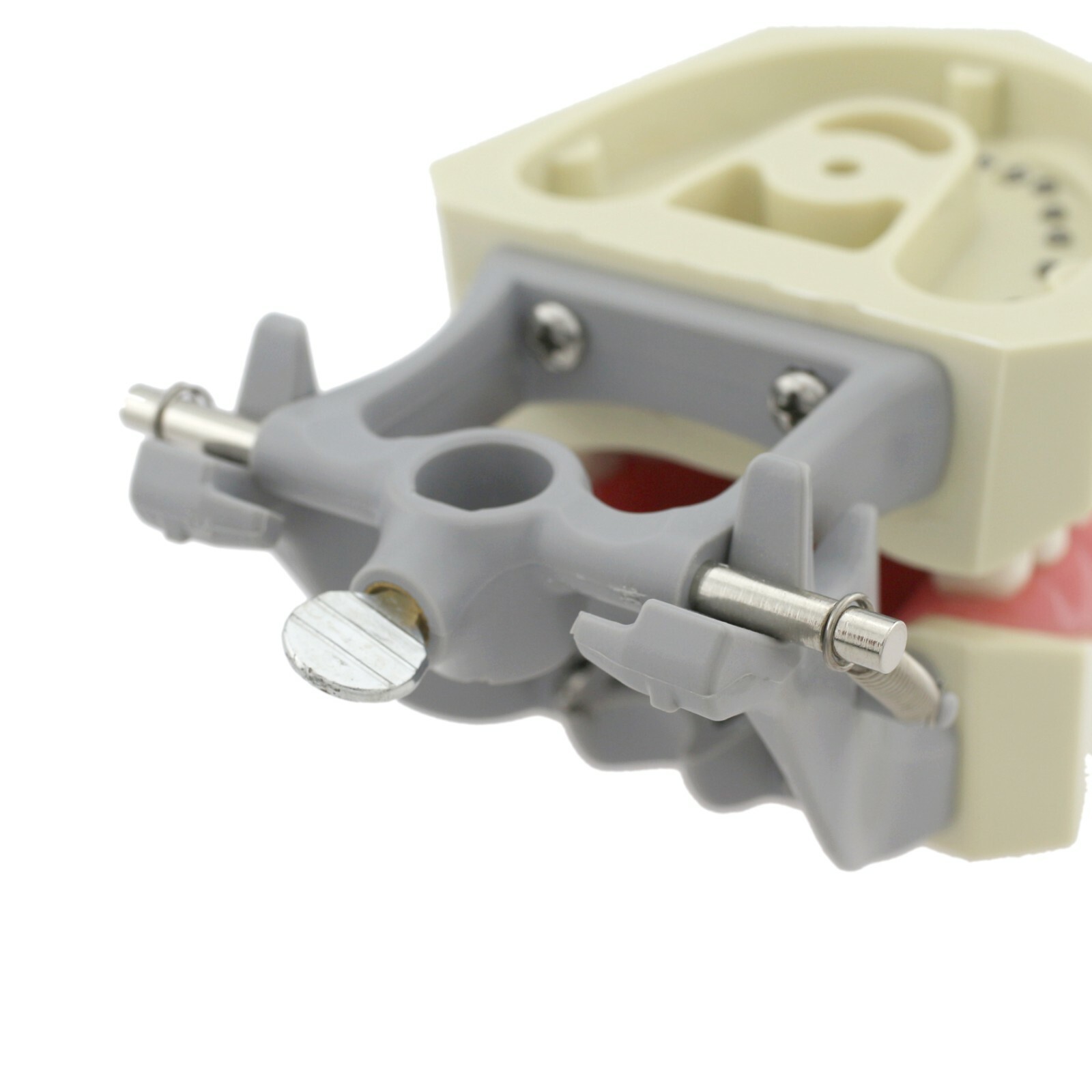 Dental Columbia 860 Style Typodont Model Mounting Pole Replacement Teeth 32 Pcs