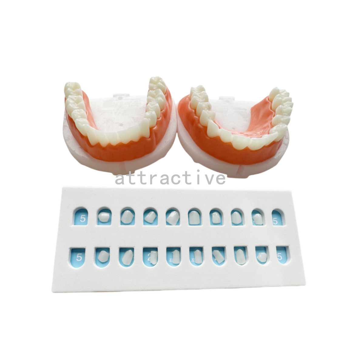 Dental Composite Veneer Template Model Practise Veneers Dentist Teaching 1Set