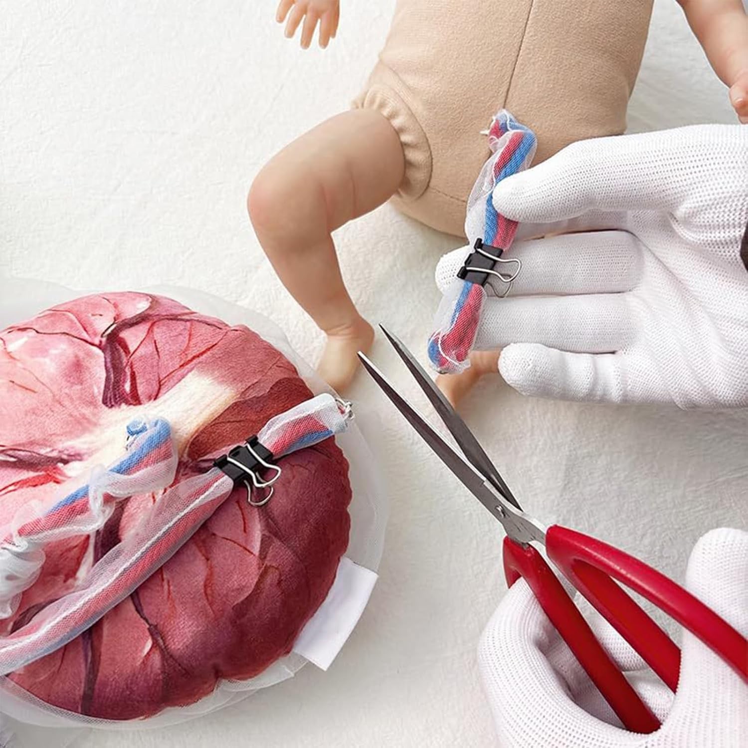Female Childbirth Model Midwifery Training Pelvis Baby Birth Simulation Teaching