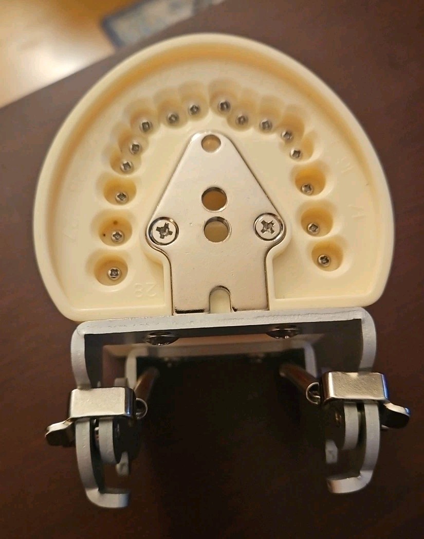 Dental Typodont Teeth Model Practice with Removable Teeth Unbranded
