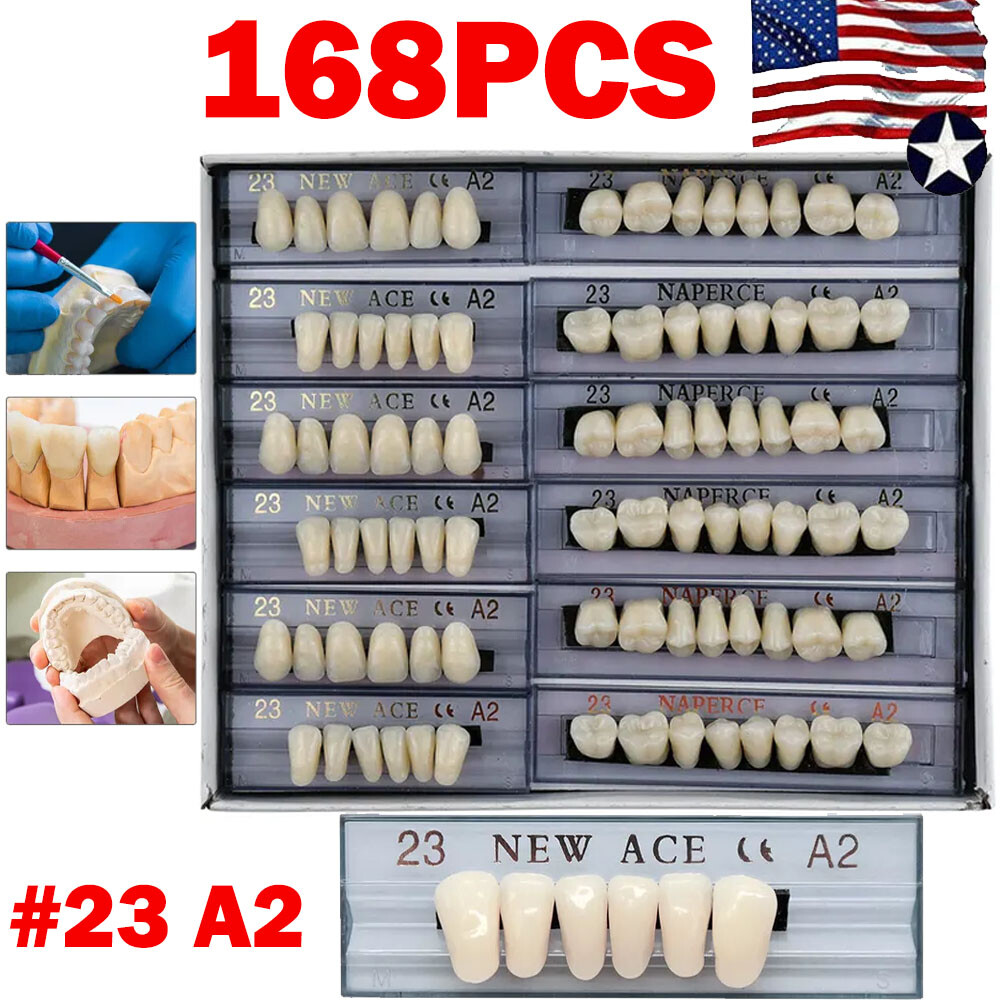 168Pcs Acrylic Resin Denture #23 Dental Upper Lower Shade A2 Teeth Set NEW