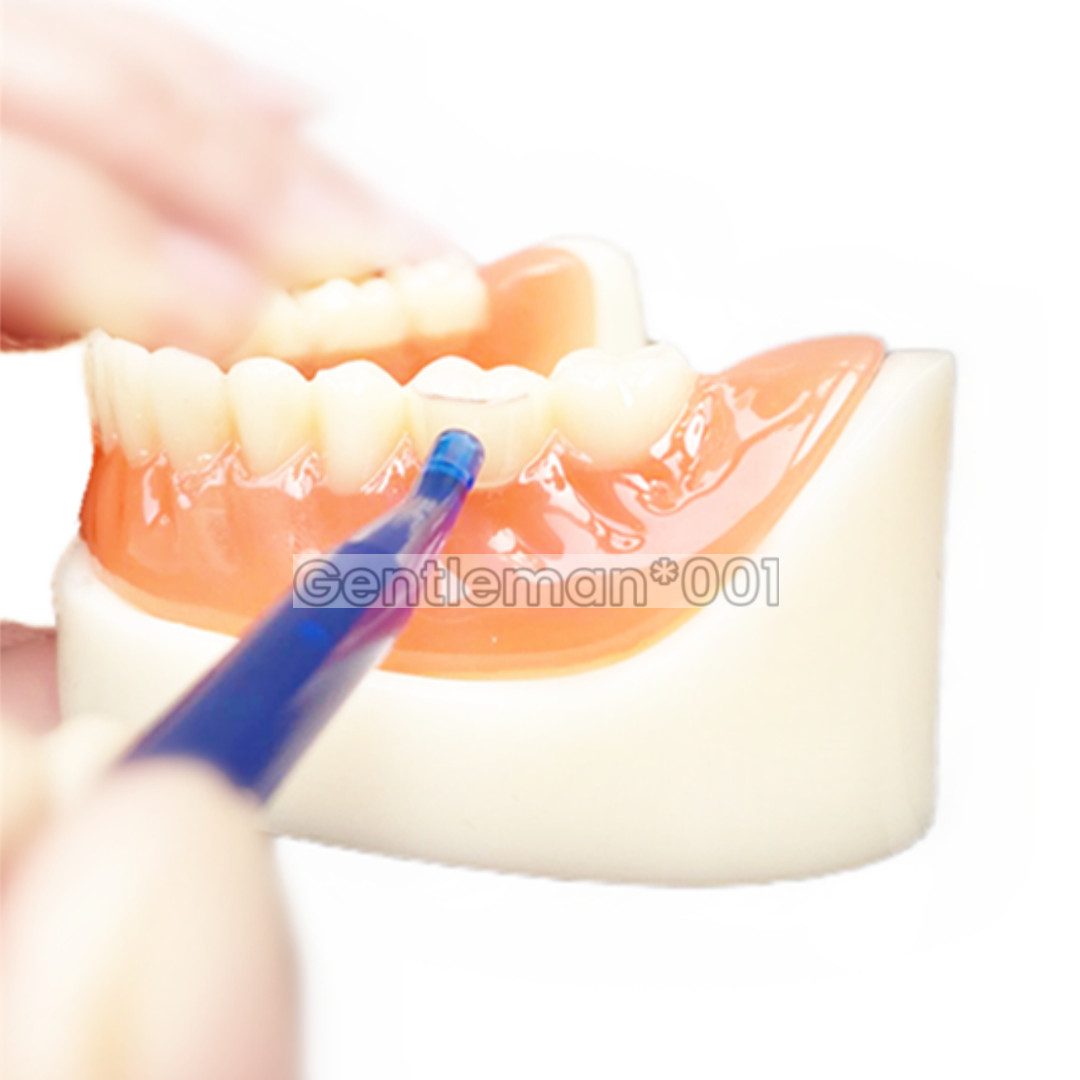 Dental Transparent Cervical Matrices Composite Gingival Matrix Kerr Premolar