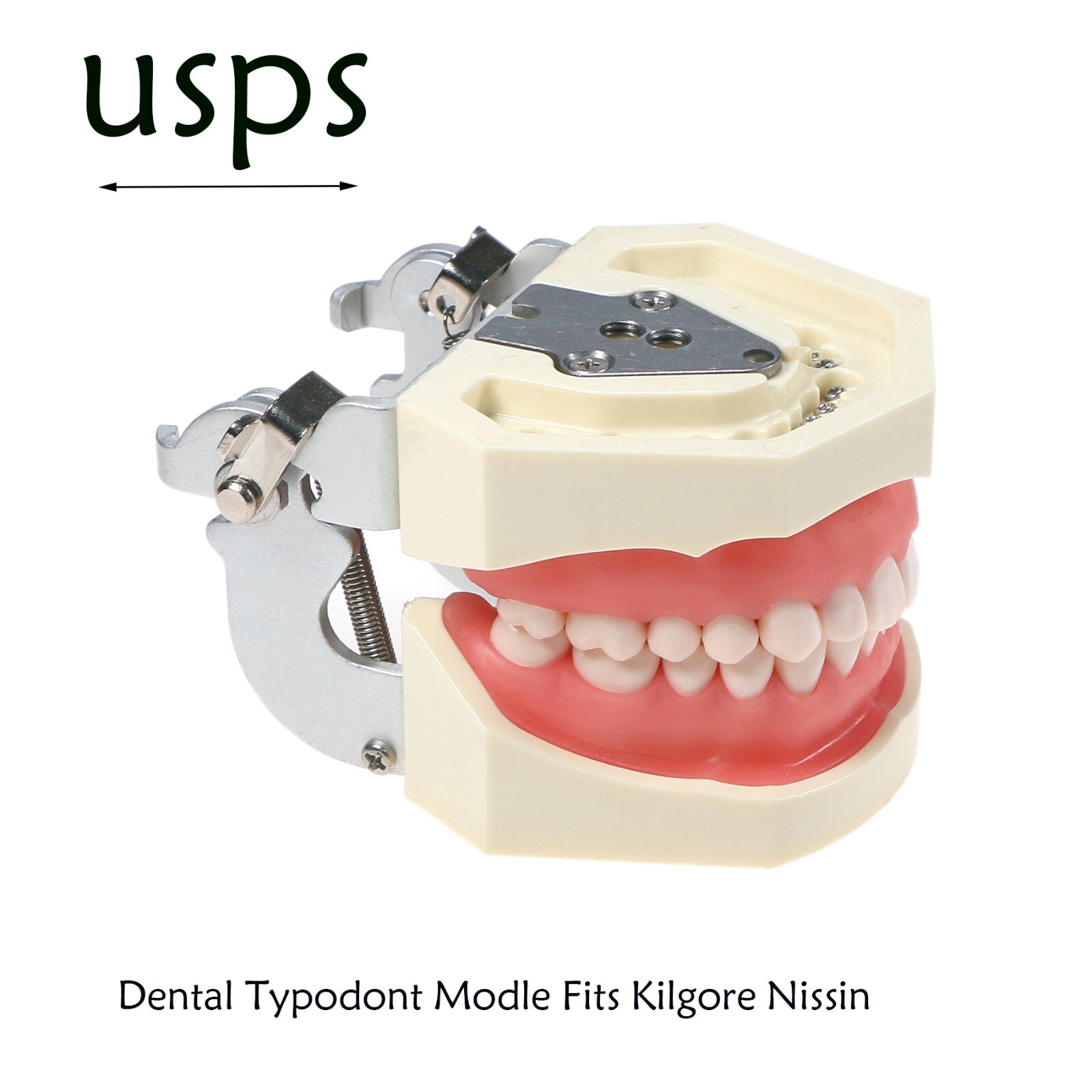 US Overdenture All-On-4/6 Implant /Ortho/Columbia 860/Kilgore NISSIN Teeth Model