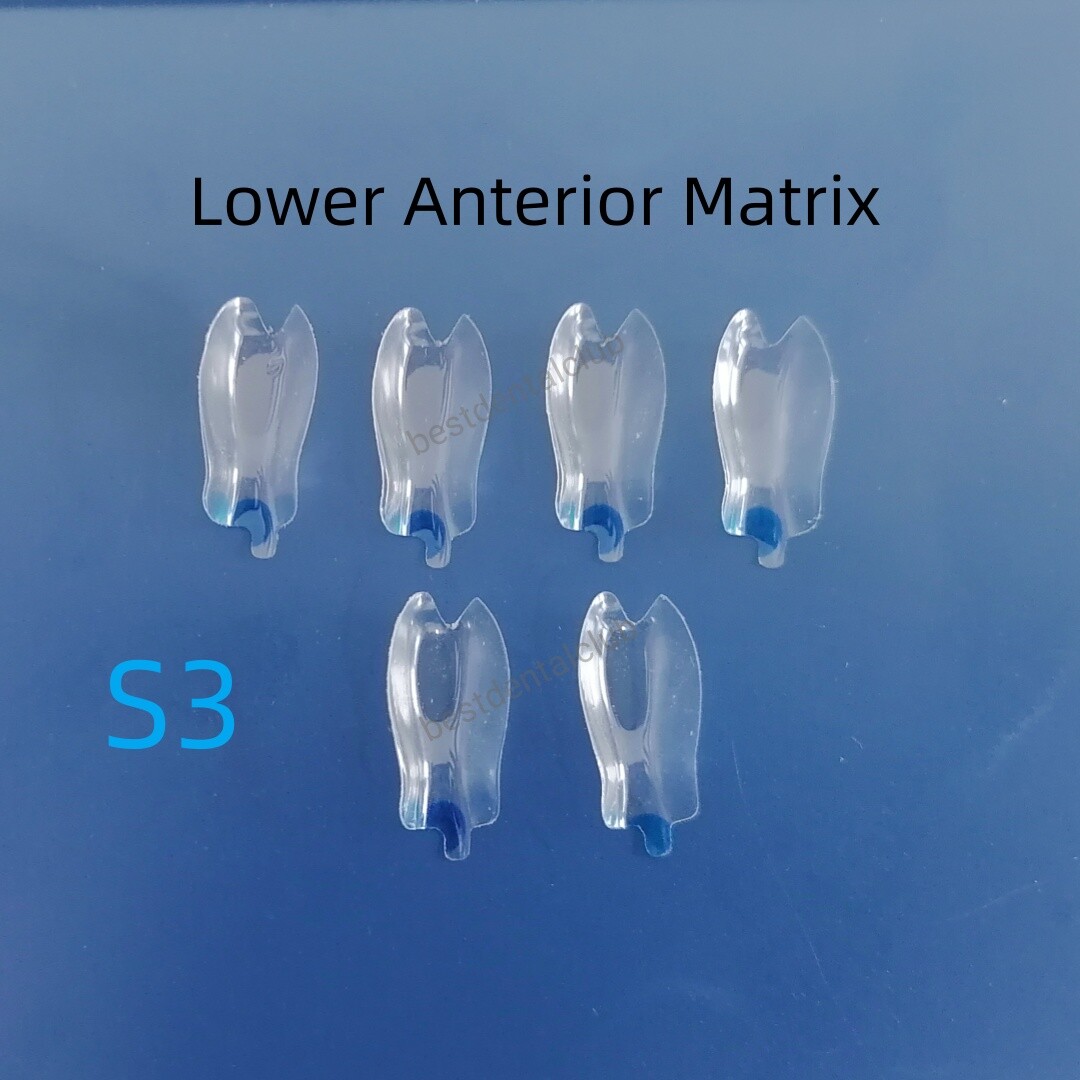 Clear Matrix Dental Anterior Transparent BT Matrices Fit BioClear Black Triangle