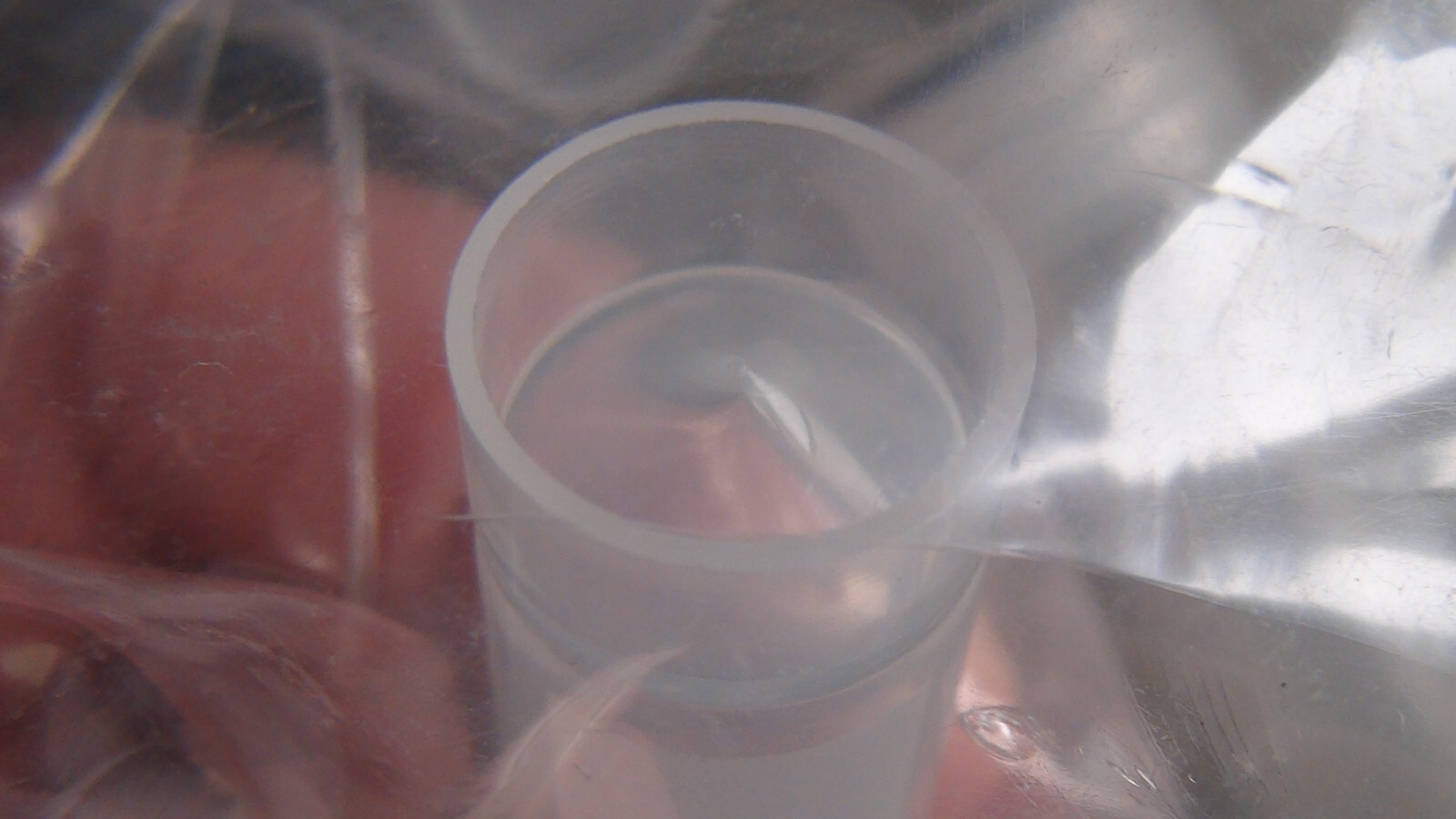 200 x 5mL Cryovial Screw Cap Transport Tubes Self Standing Sterile Clear