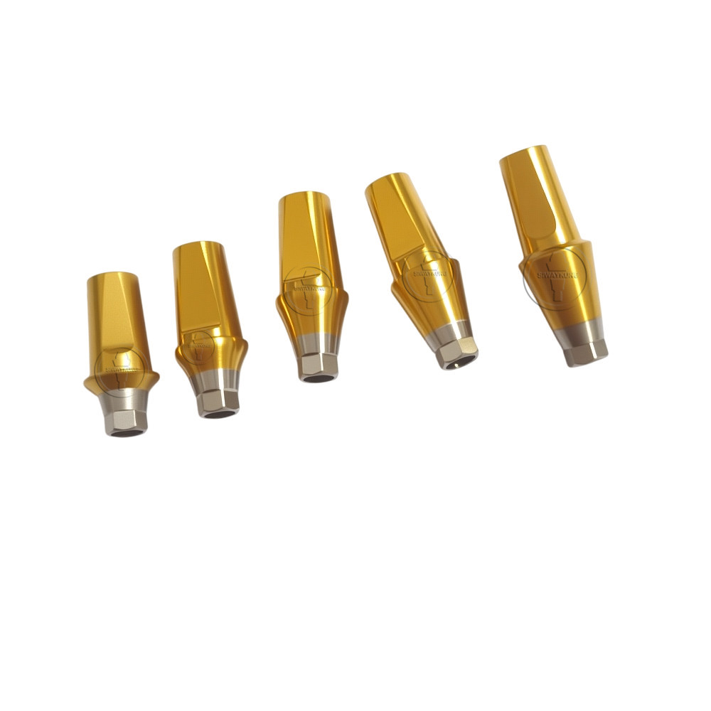5Pcs Straight abutment titanium Dental Fit to Hiossen Osstem TS Mini Regular Hex