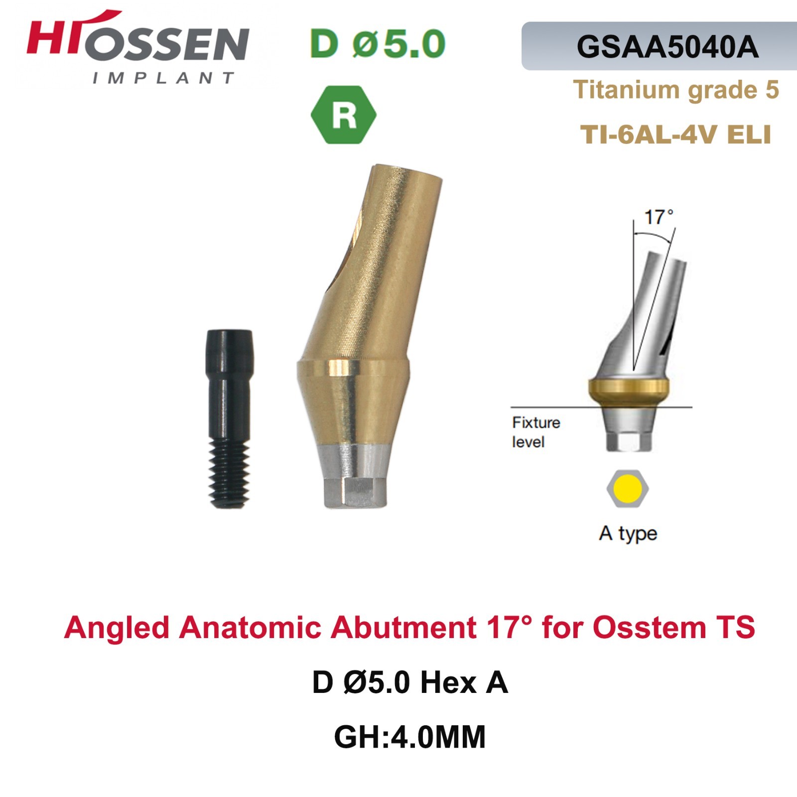 US 17° Angulated Abutment Mini/Regular Hex A/B Transfer Fit Osstem TS/Hiossen ET