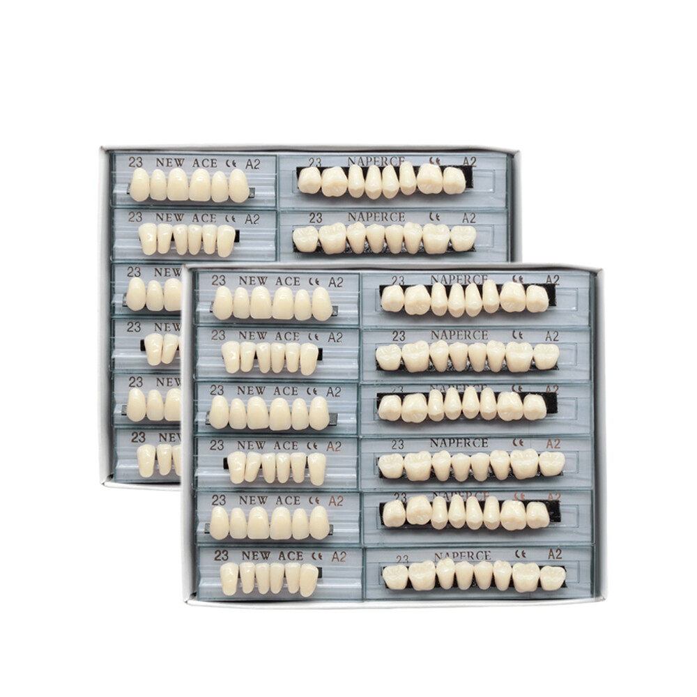 168Pcs/Box Acrylic Resin Denture #23 Dental Upper Lower Shade A2 Teeth Set US