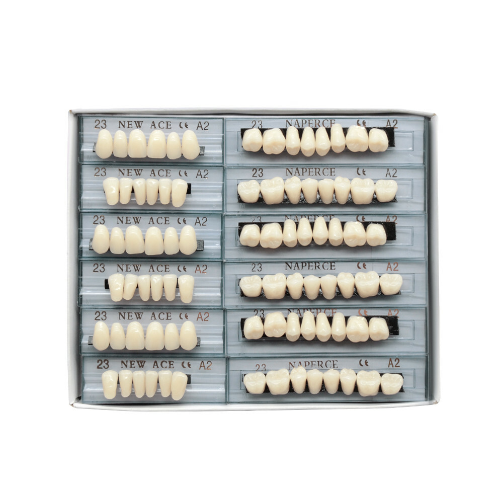 23# A2 Denture Acrylic Resin Teeth 168pcs Full Dental Tooth Upper Lower Shade
