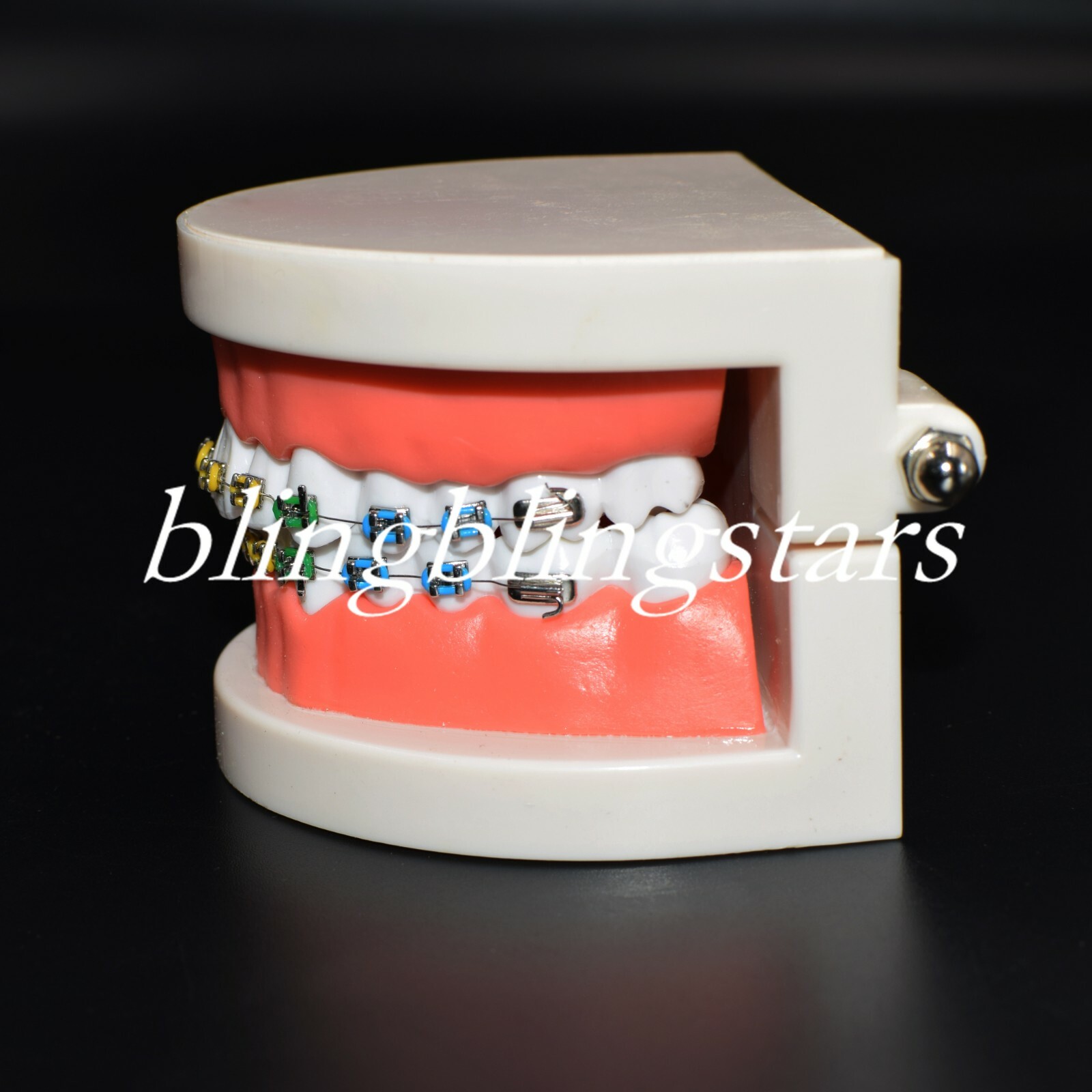 Dental Orthodontics Standard Tooth Model Bracket Ligature Buccal Tube Tie