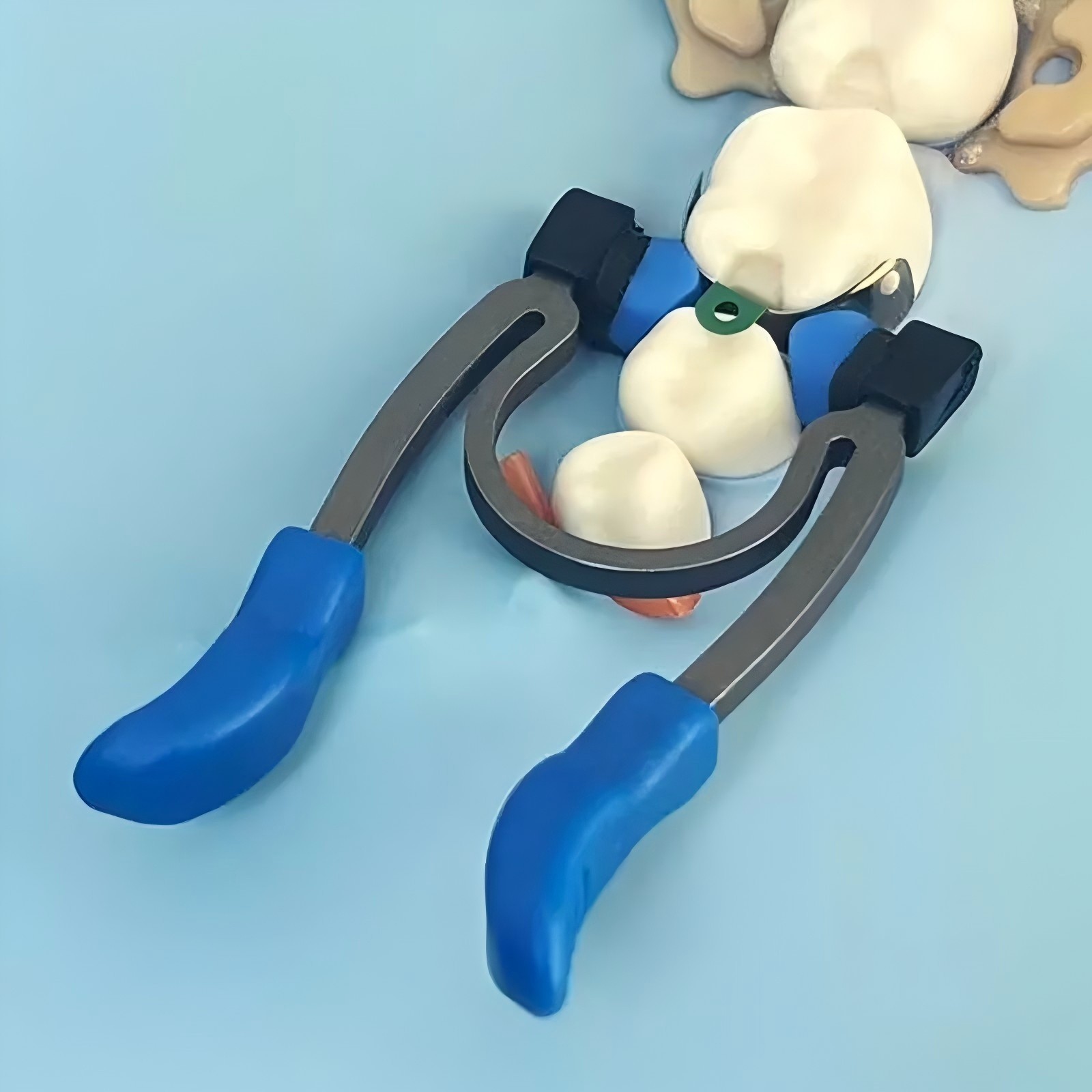 Dental Sectional Matrix Bands Niti Retaining Ring Wedge Fit Garrison Palodent V3