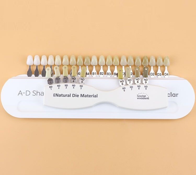 Ivoclar Vivadent Dental Teeth Bleaching Shade Guide ND 9 A-D 20 IPS Natural Die
