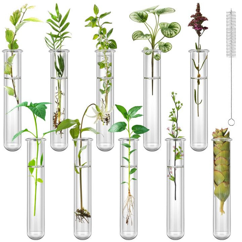 10 PCS 20ml Plastic Test Tubes for Plant Propagation Round Bottom Lab Tube