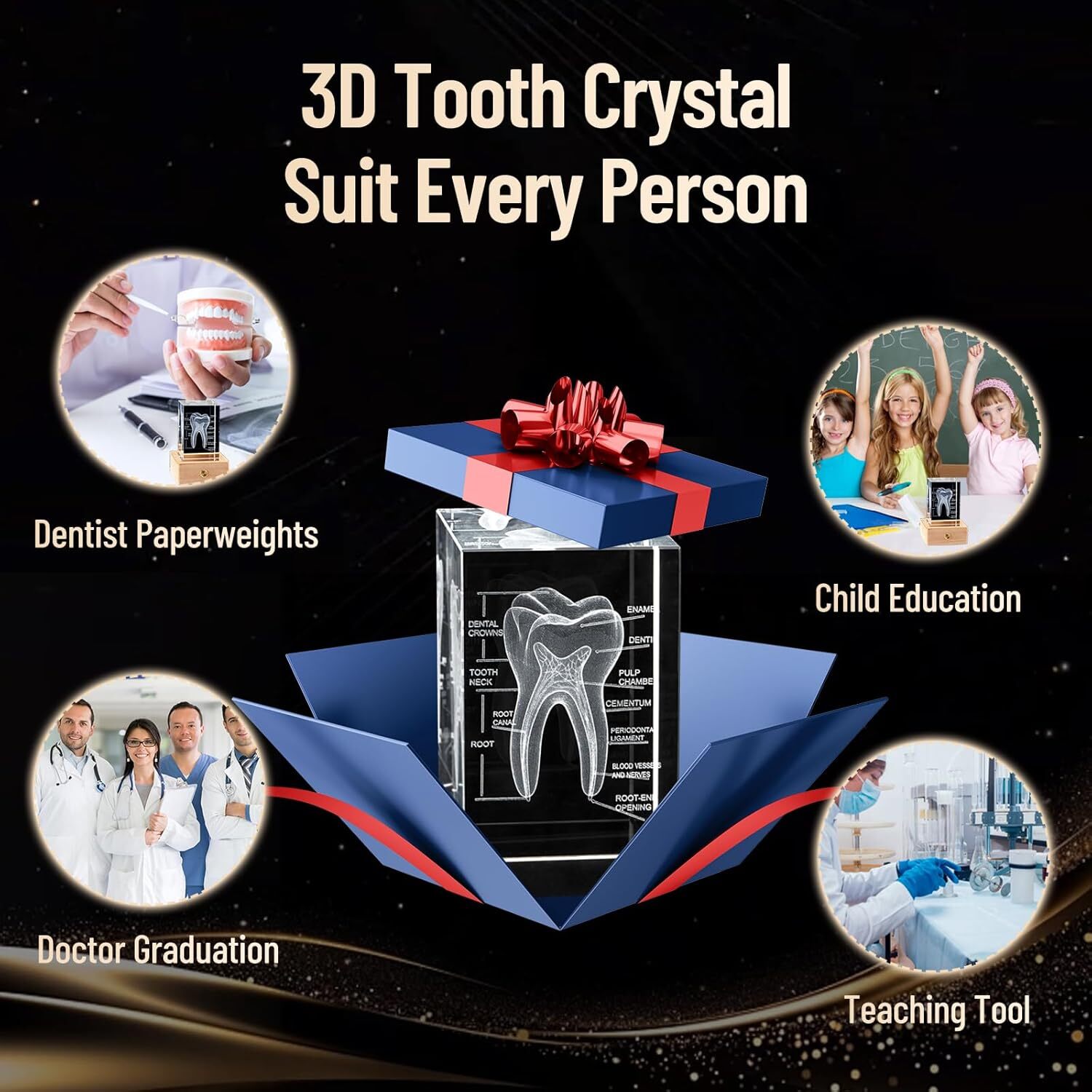3D Crystal Human Tooth Model, Black Gift Packaging, Wood Base with Yellow Light
