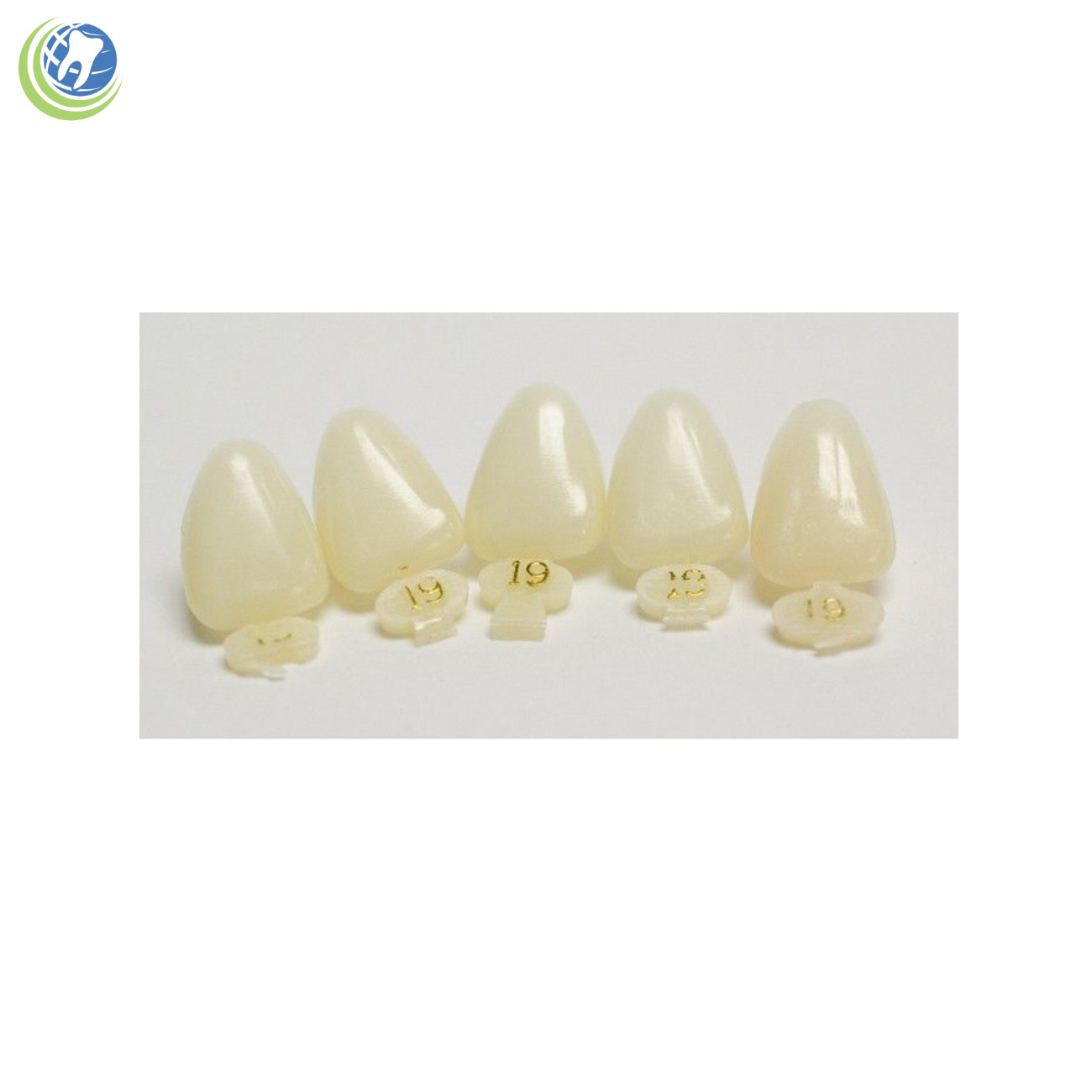 DENTAL POLYCARBONATE TEMPORARY CROWNS #19 (ULC) UPPER LEFT CENTRAL 5/PACK