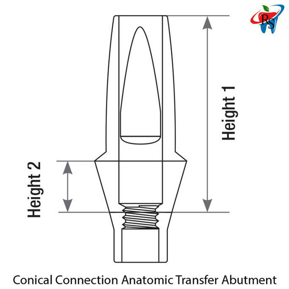 1pcs RS Dental Imp lant Anatomic Straight Abut ment Conical Nobel Active NP 1.5