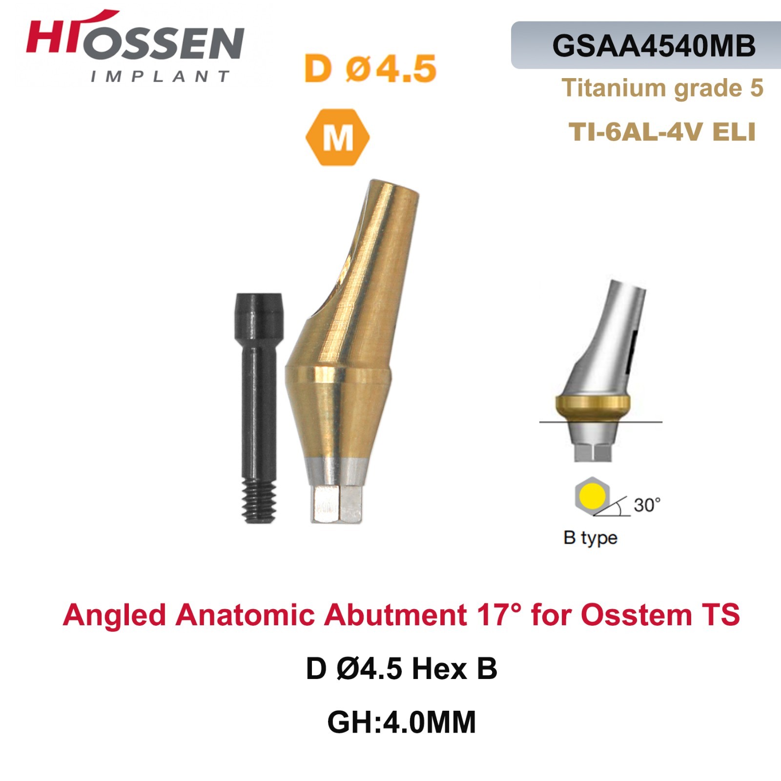 US 17° Angulated Abutment Mini/Regular Hex A/B Transfer Fit Osstem TS/Hiossen ET