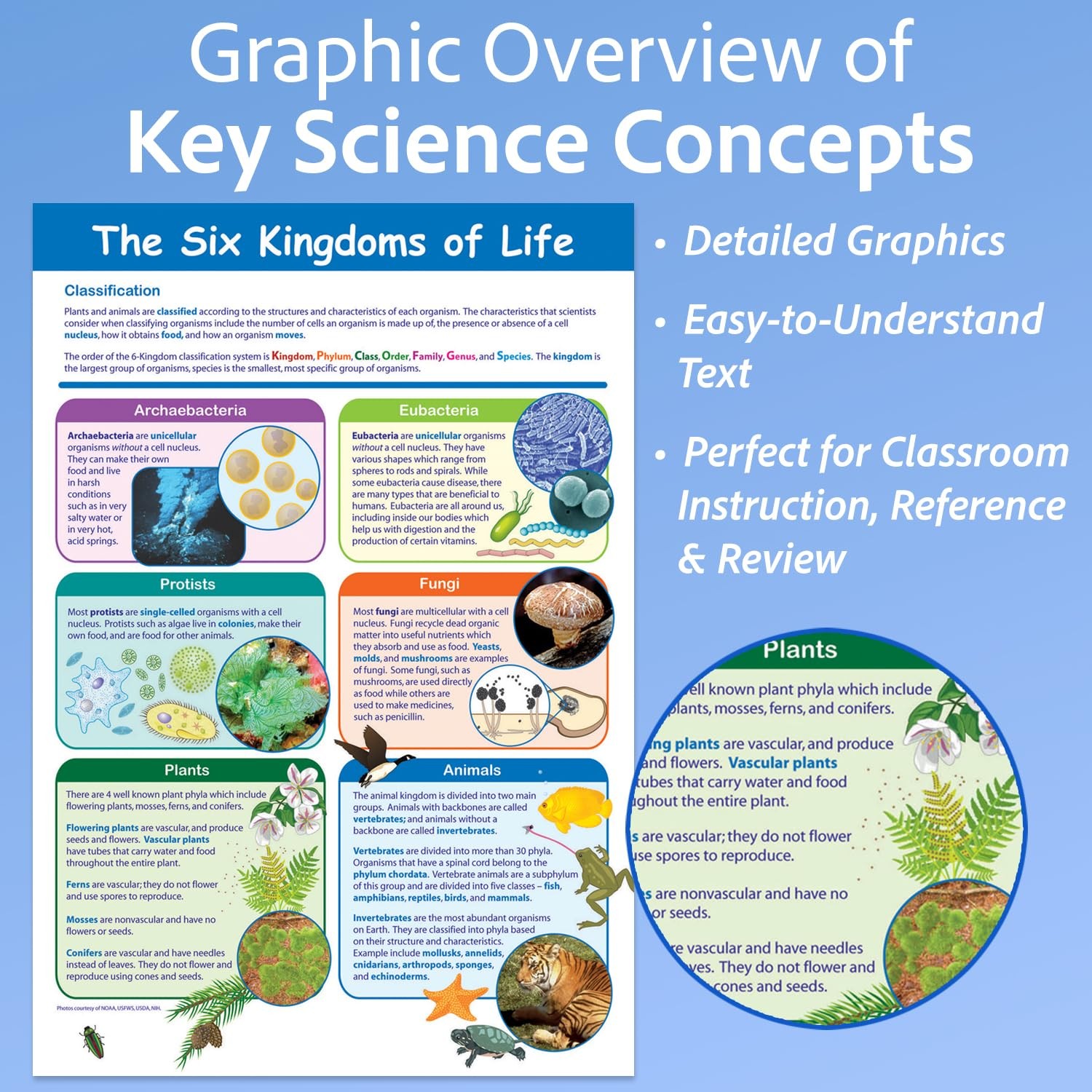 Newpath Learning-34-6112 The Six Kingdoms Of – 23 X 35