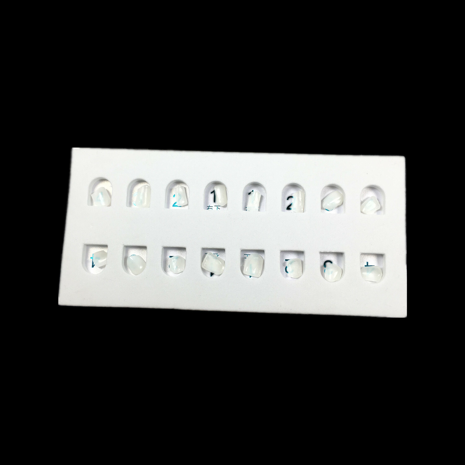 Dental Composite Veneer Template Front Teeth Practise Model Dentist Teaching