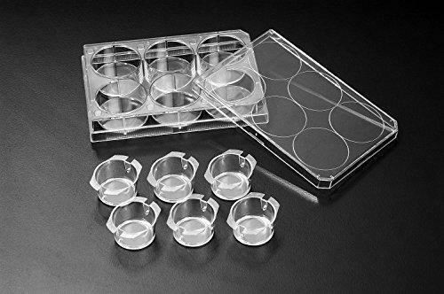 SPL Inserts Hanging PET membrane Transparent, 24 mm diameter, 8.00 µm pore, Ster