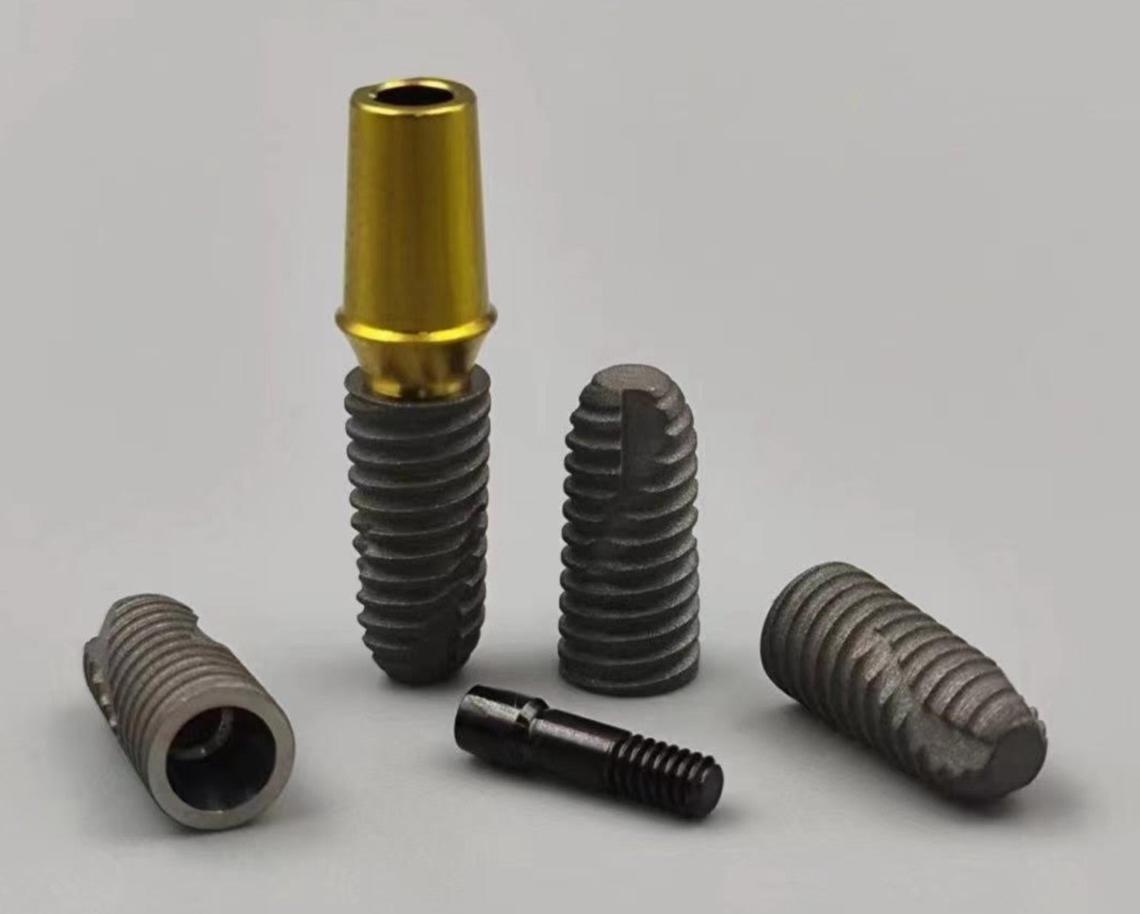 Dental Implant practice model for training (All Types)