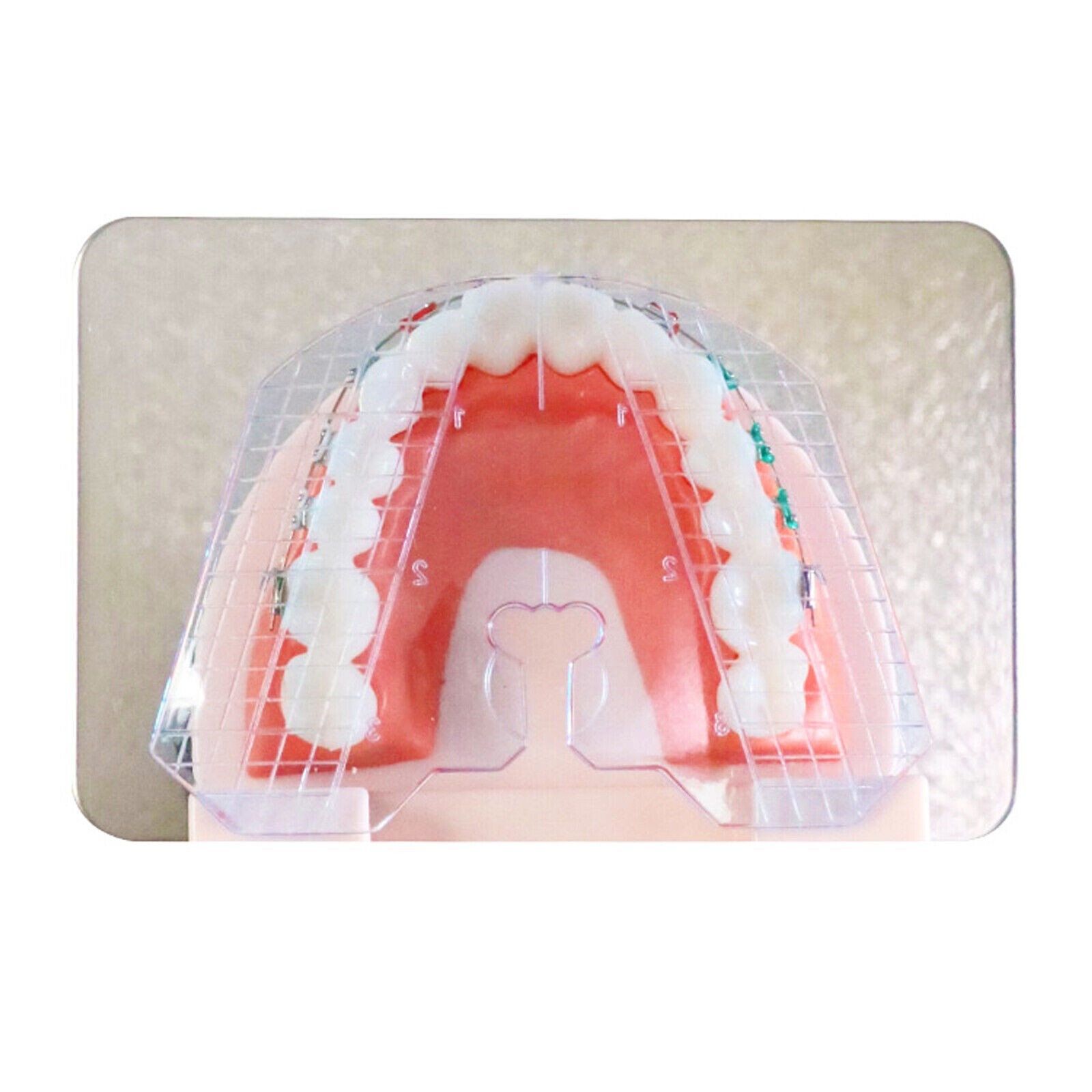 Dental Guide Template Plate For Complete Denture False 135℃ Teeth Arrangement