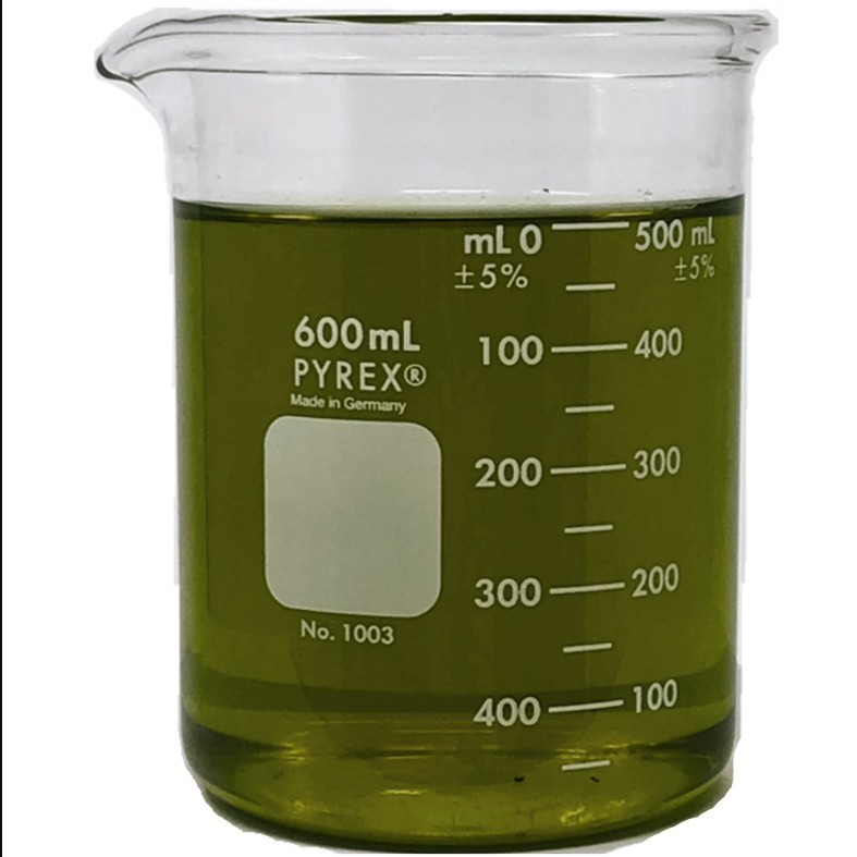 1003-600 Pyrex Heavy Duty Griffin Beaker 600mL Double Scale Graduated Pour Spout