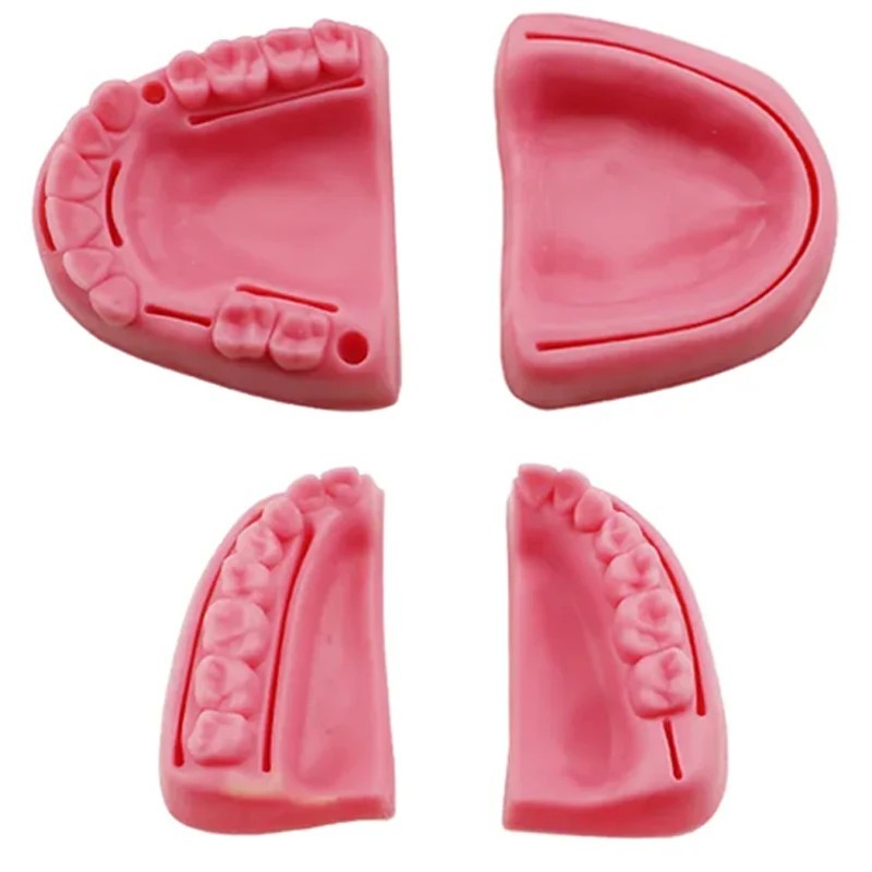 Dental Oral/Gum Suture Training Pad Silicone Periodontitis Suture Model