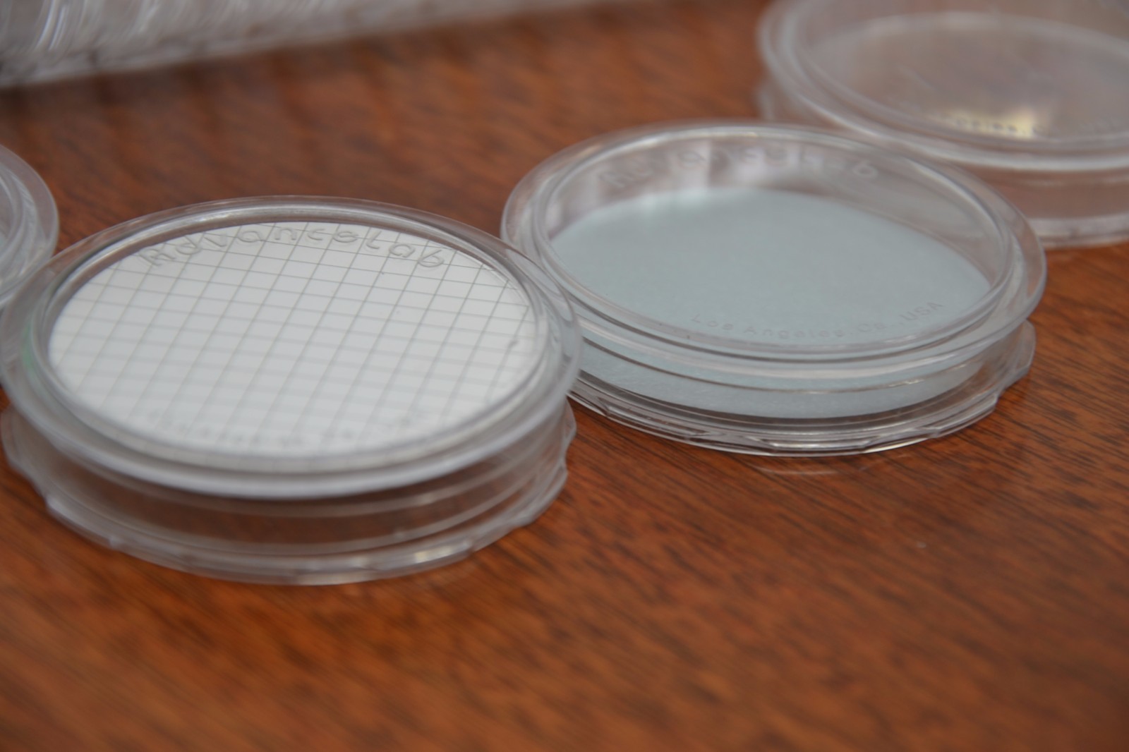 [Set of 20] Petri Dish 50x9mm Disposable Clear Bacterial Plate w/ Tight Light