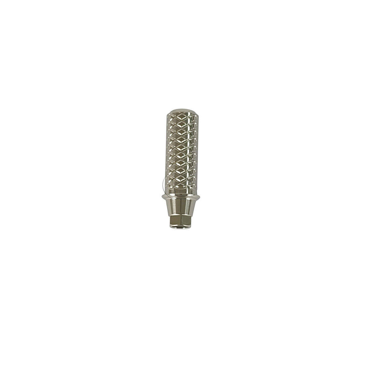 2Pcs Temporary Cylinder Abutment compatible with Hiossen Osstem TS Mini /Regular