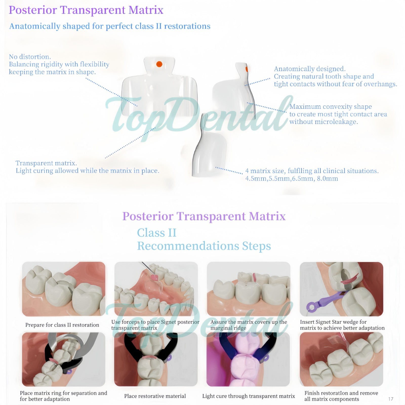 USA Clear Matrix Dental Anterior Posterior Transparent BT Matrices Fit BioClear
