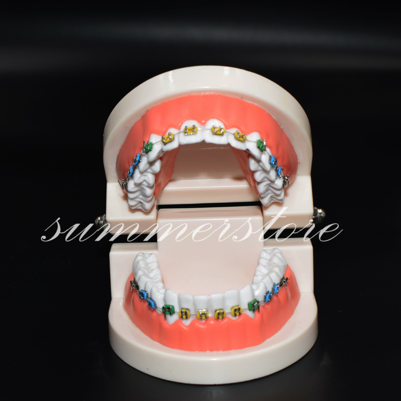 1x Dental Orthodontic Standard Teeth Model With Bracket&Buccal Tube&Ligature Tie