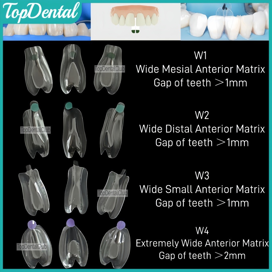 USA Clear Matrix Dental Anterior Posterior Transparent BT Matrices Fit BioClear