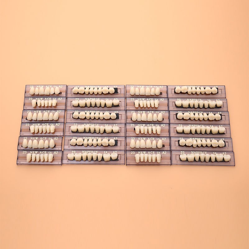 168PCS/6Sets Dental Synthetic Polymer Teeth Resin Denture Dental Teeth Dent-dx