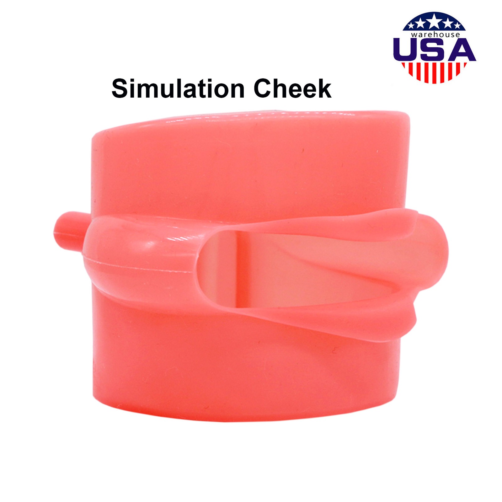 US Dental Overdenture/Implant/Orthodontic Typodont Ortho Training Teaching Model
