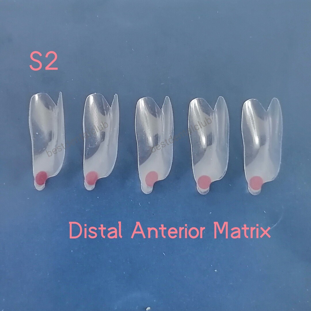 Clear Matrix Dental Anterior Transparent BT Matrices Fit BioClear Black Triangle