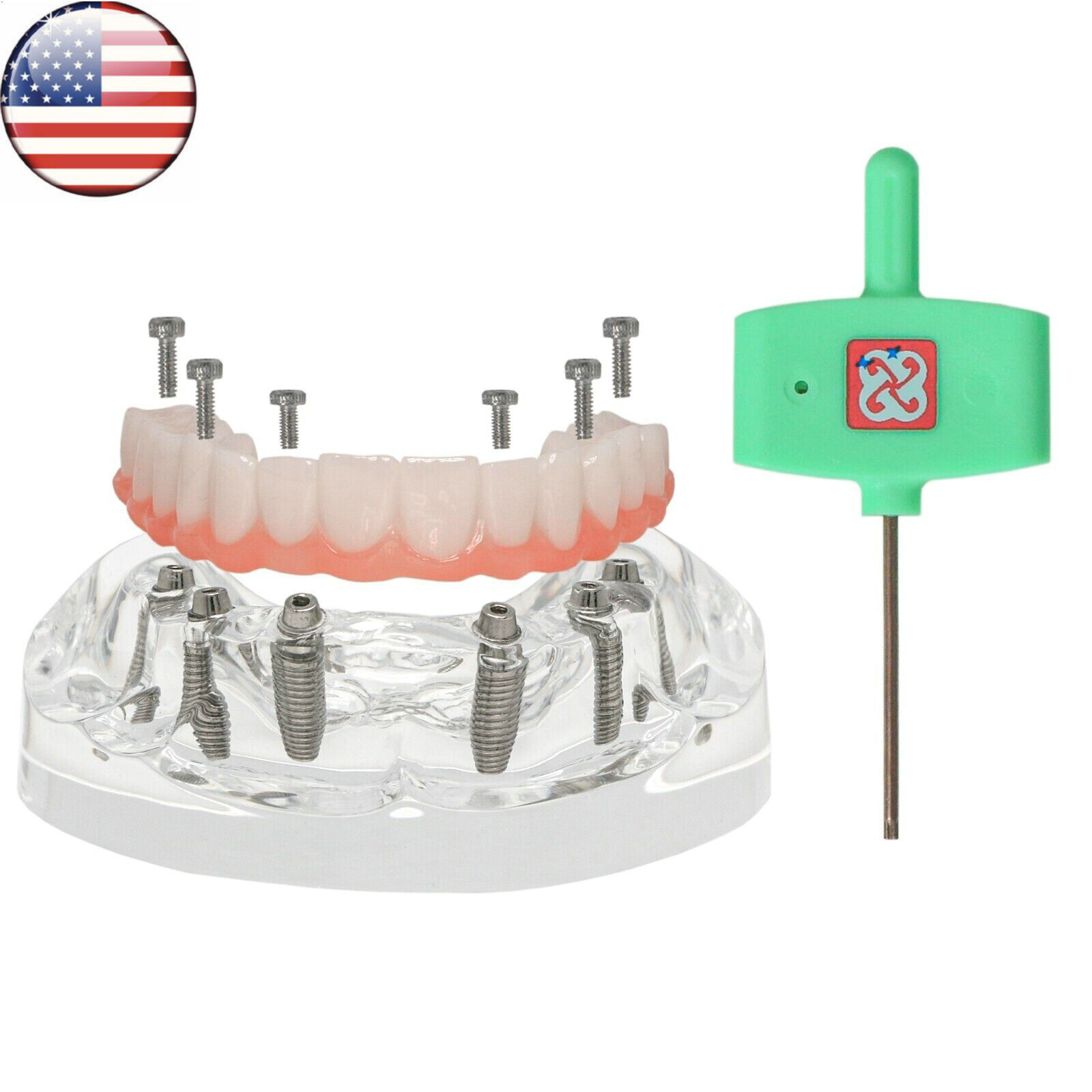 US Dental Implant Restoration Model Upper Jaw 6 Screws Post Core Bridge M6001-2