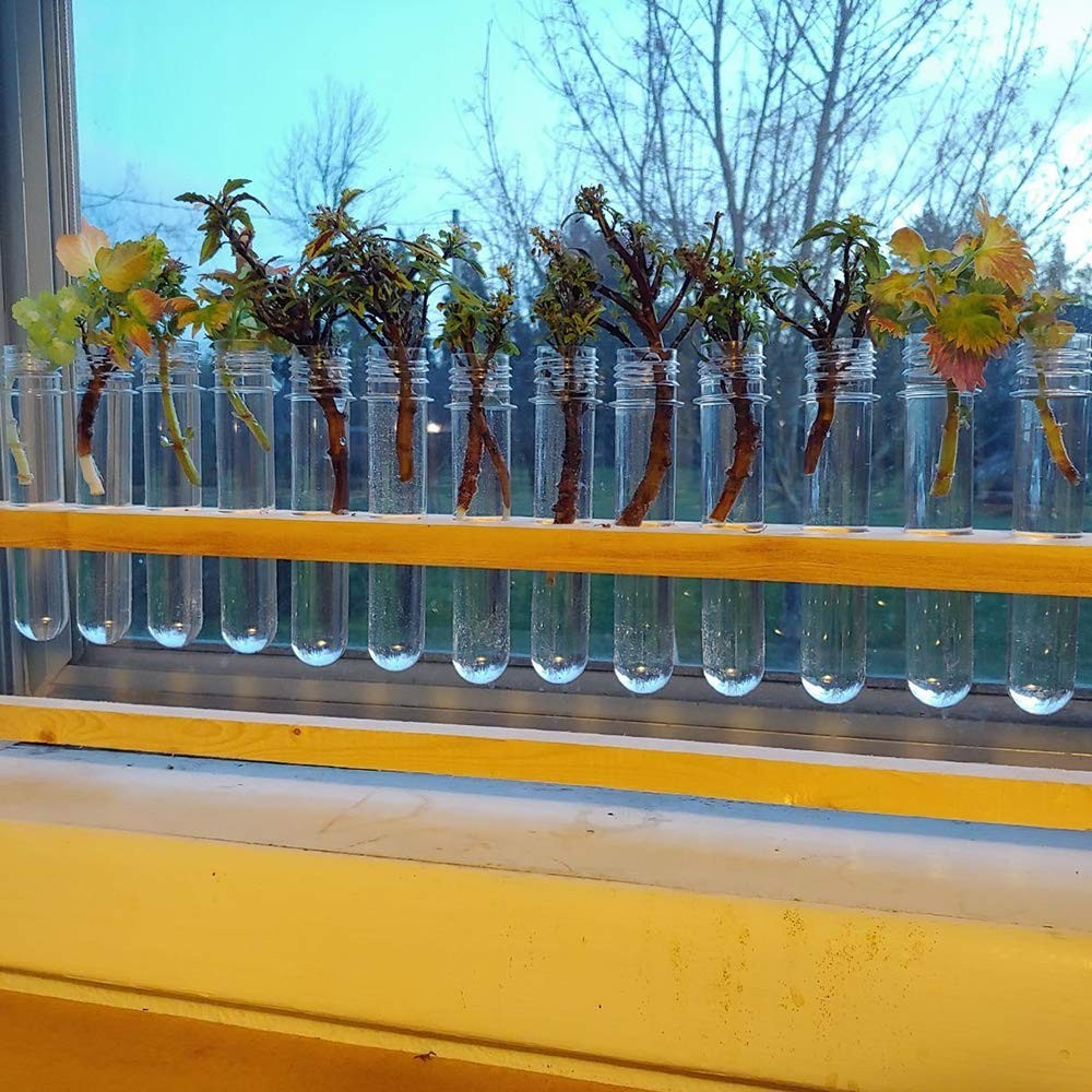Versatile 25PCS Clear Tubes – Perfect for Science Parties & Gumball Gifts