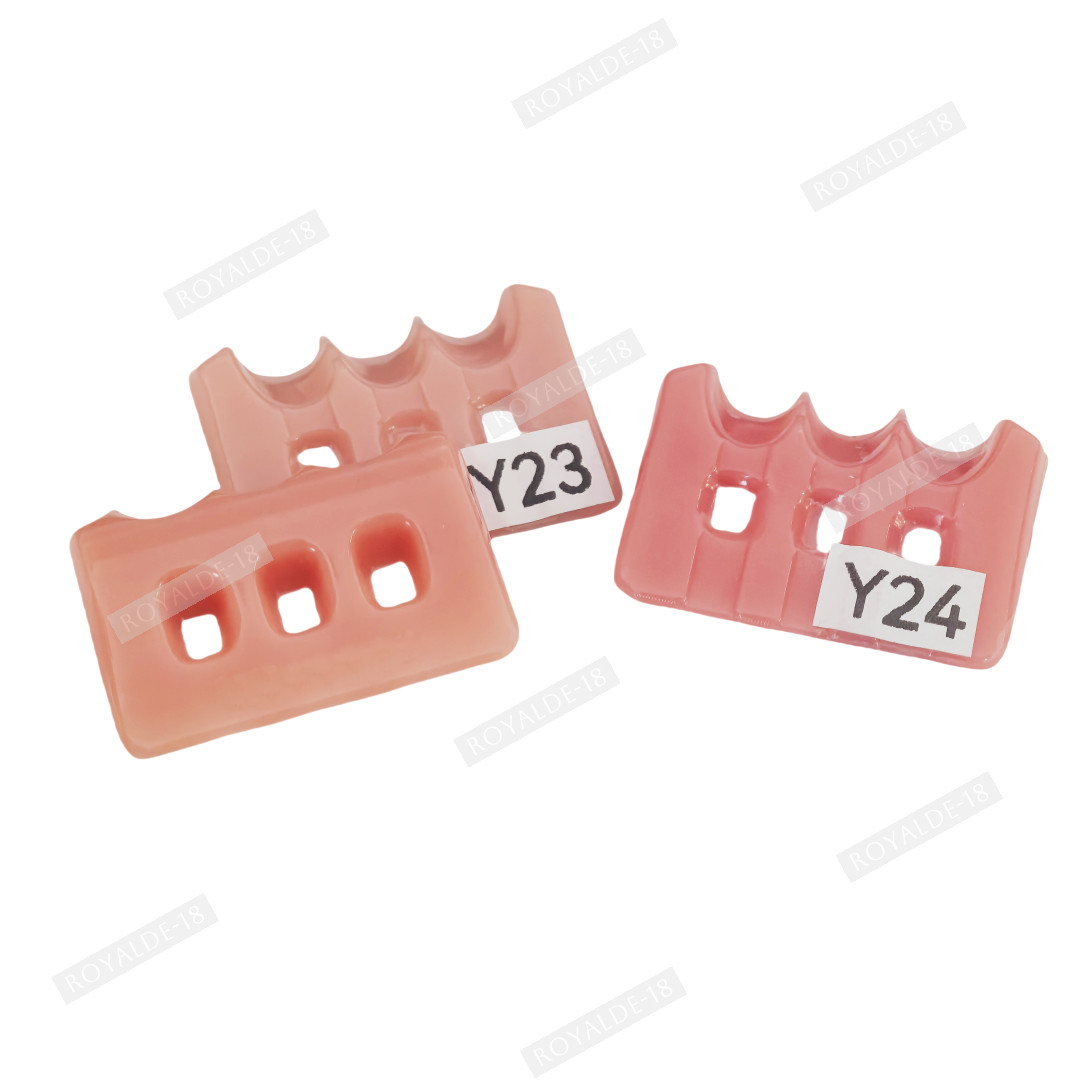 Gum Shade Gingiva Color Plate Indicator Tri-Color Gummy Model Similar SHOFU GC