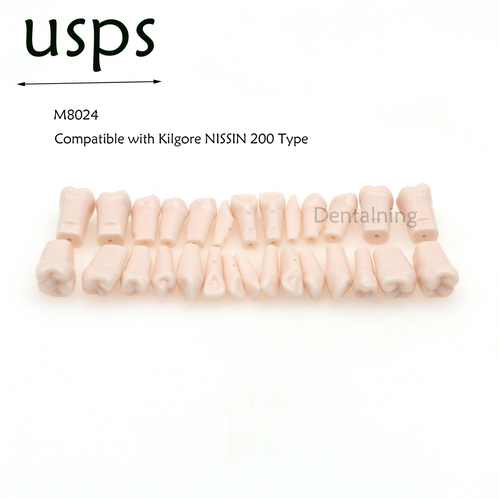 US Overdenture All-On-4/6 Implant /Ortho/Columbia 860/Kilgore NISSIN Teeth Model