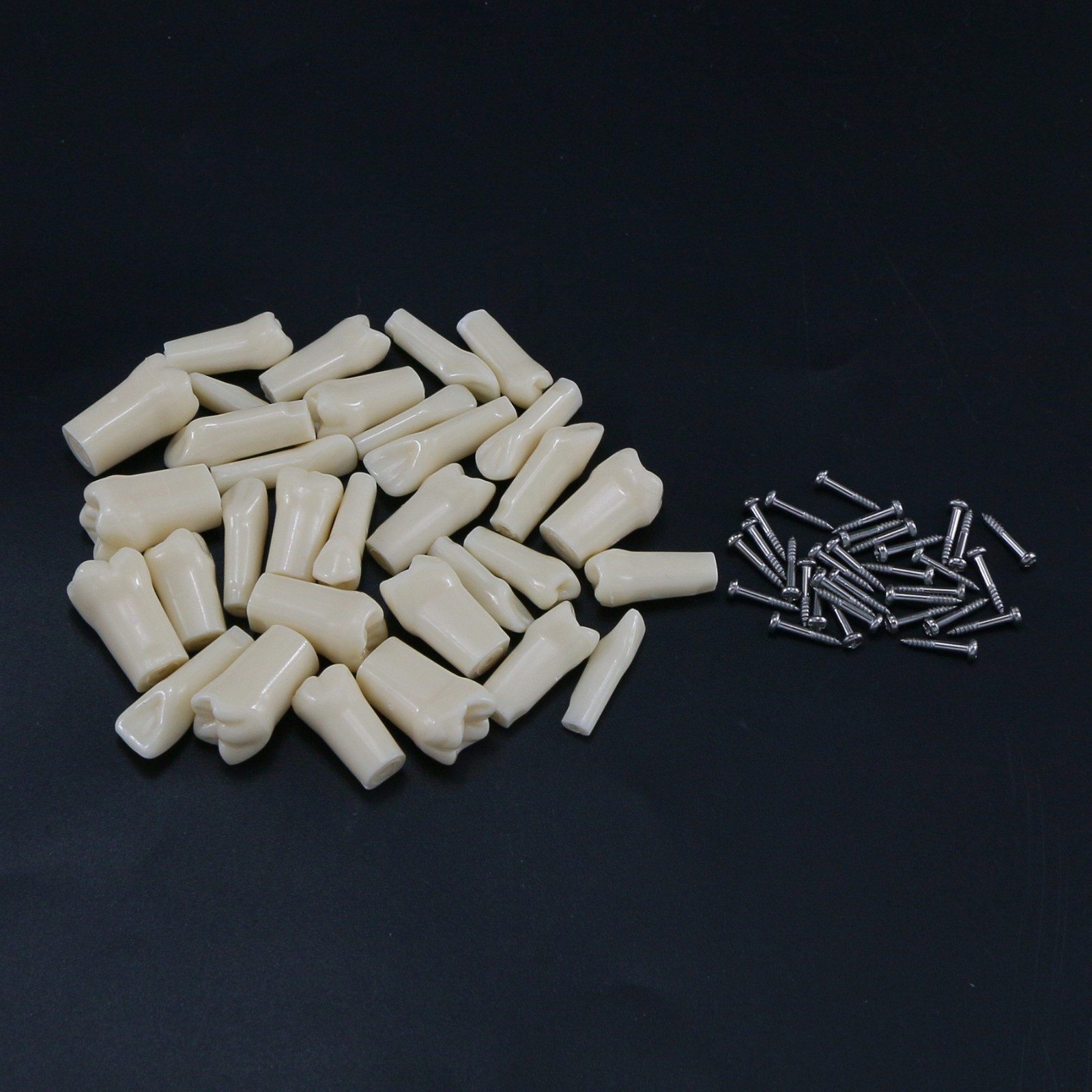 US Kilgore Nissin 200 Type Dental 32pcs Teeth Removeable Model & Mounting Pole