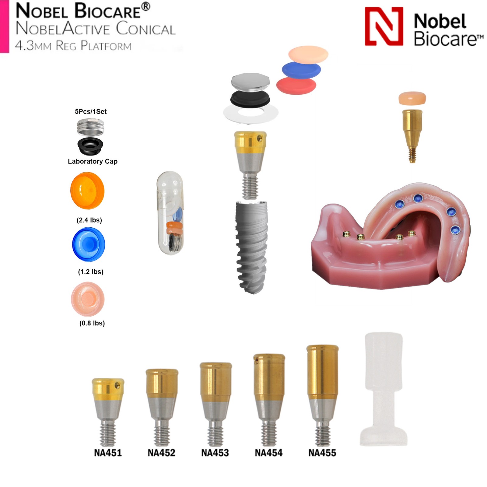 Dental Overdenture Zest Locator Abutment Legacy Anchor Hiossen Nobel Zimmer Cap