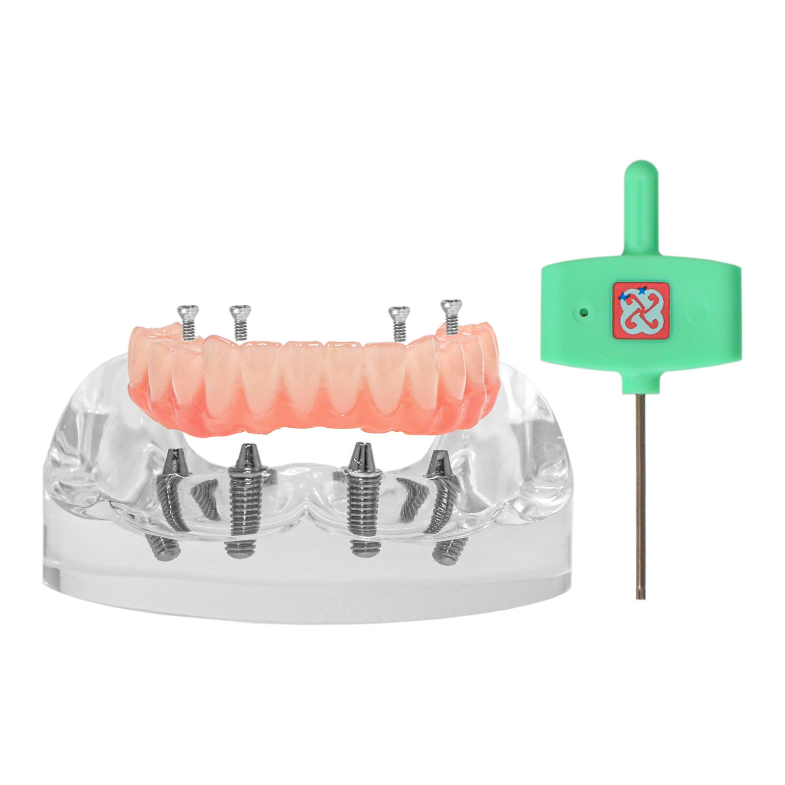 Dental 4 Implants Upper&Lower Demo Implant Teeth Model Restoration Overdenture