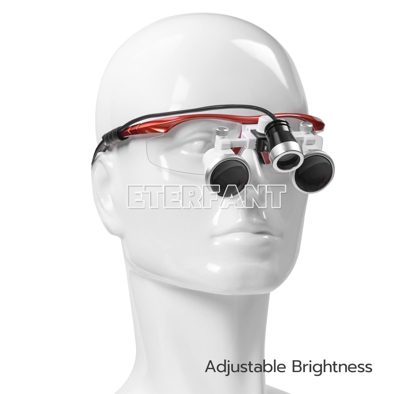 ETERFANT Dental Magnifier Medical Binocular Loupes Red+3W LED Head Light Lamp
