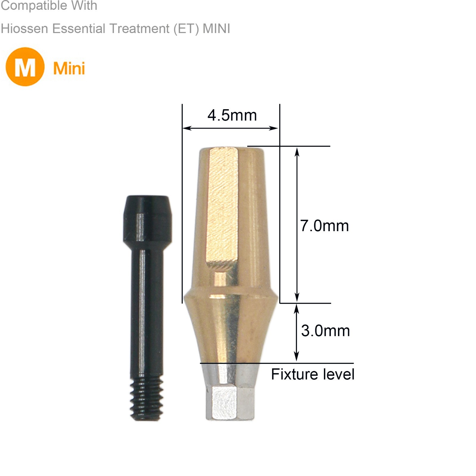 Dental Hex Straight Abutment with Screw Mini Regular Fit for Osstem Hiossen TS