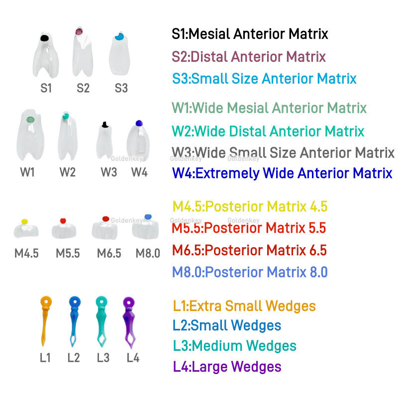 Clear Matrix Band Transparent Bow Matrices Dental Anterior Front Teeth Posterior